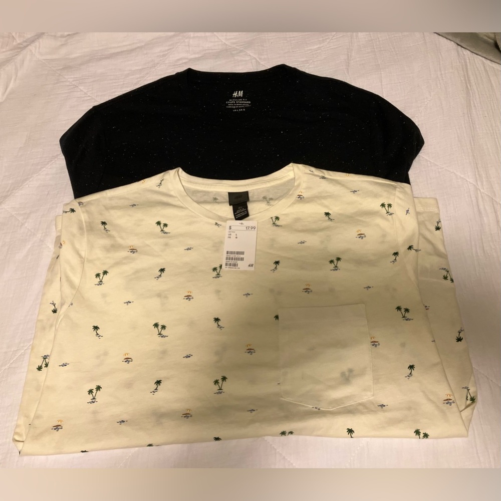 2 Men’s H&M Large T-shirts. One NWT and one never worn. Blue and off white.